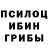 Псилоцибиновые грибы мицелий akul akul
