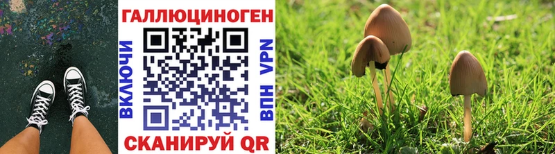 Галлюциногенные грибы Cubensis  Ленинск 