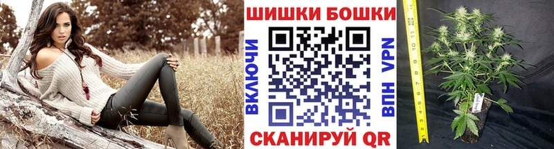 хочу наркоту  Ленинск  Шишки марихуана тримм 